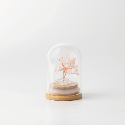 Preserved|粉水晶|愛情。人脈