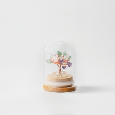 Preserved|彩晶|全效。通用