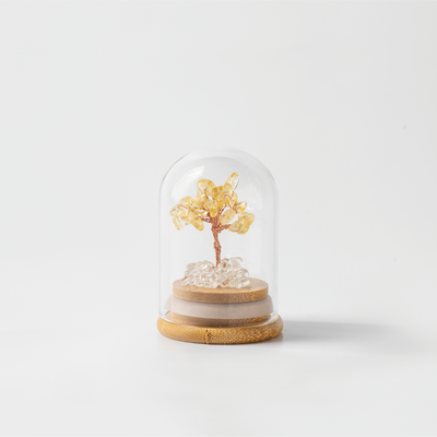 Preserved|黃水晶|財富。運勢