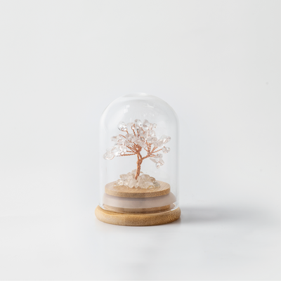 Preserved|白水晶|全效。擴大