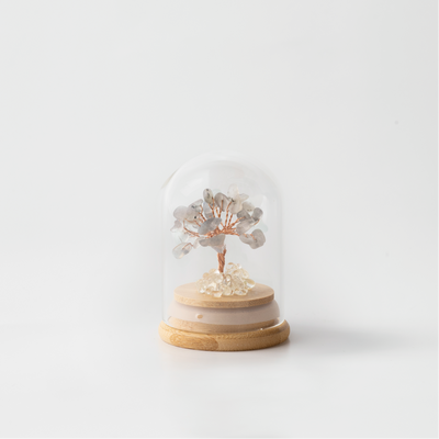 Preserved|拉長石|愛情。激發
