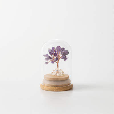 Preserved|紫水晶|權利。守護
