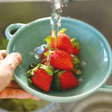 studio m' Berry bowl 漿果碗 共三色