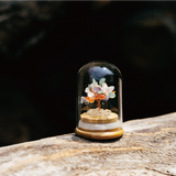 Preserved｜彩晶｜全效。通用