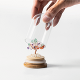 Preserved｜彩晶｜全效。通用