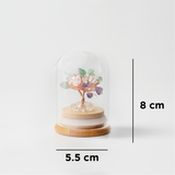 Preserved｜彩晶｜全效。通用