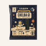 【Leaven 咖啡】自烘咖啡 濾掛式綜合禮盒 10入