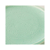 Studio M' star map 圓盤 共二色