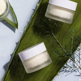 山布枯平衡戰鬥霜 15ml