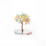 招財樹｜綠東陵。黃水晶