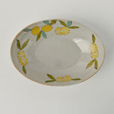 日本波佐見燒檸檬橢圓主菜碗