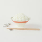 日本 Floyd 富士山飯碗禮盒 共三款