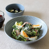 日本美濃燒小田陶器波紋主菜大碗 共三色