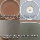 日本美濃燒 icing 雙色圓平盤 (SS-M) 共二色