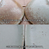 日本 EAST table 美濃燒丸形蓋飯碗 共二色