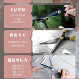 愛森諾不沾事務剪