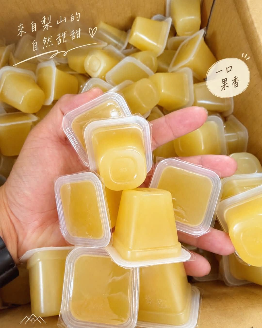 【富二代農產】梨山蘋果果凍｜整顆蘋果榨汁💦50%｜季節限定 40g*8顆