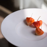 安藤雅信 荷蘭盤