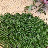 【台灣原味】馬告豆干 300g（原味微辣）