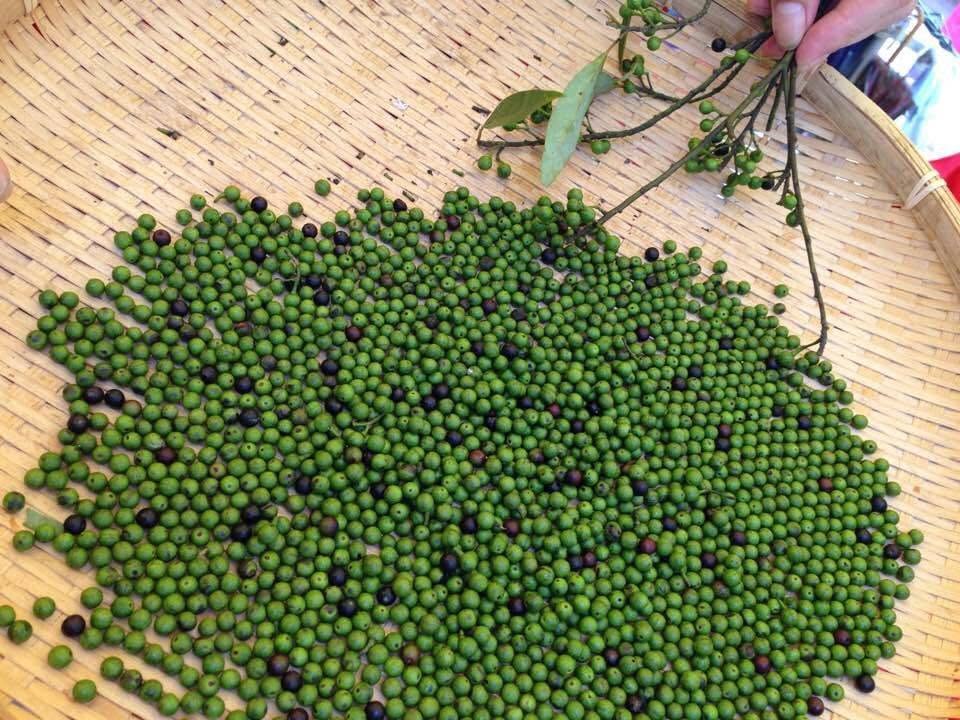 【台灣原味】馬告豆干 300g（原味微辣）