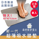 日本製新一代吸水踏墊升級 1入