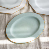 藤本咲 橢圓平盤