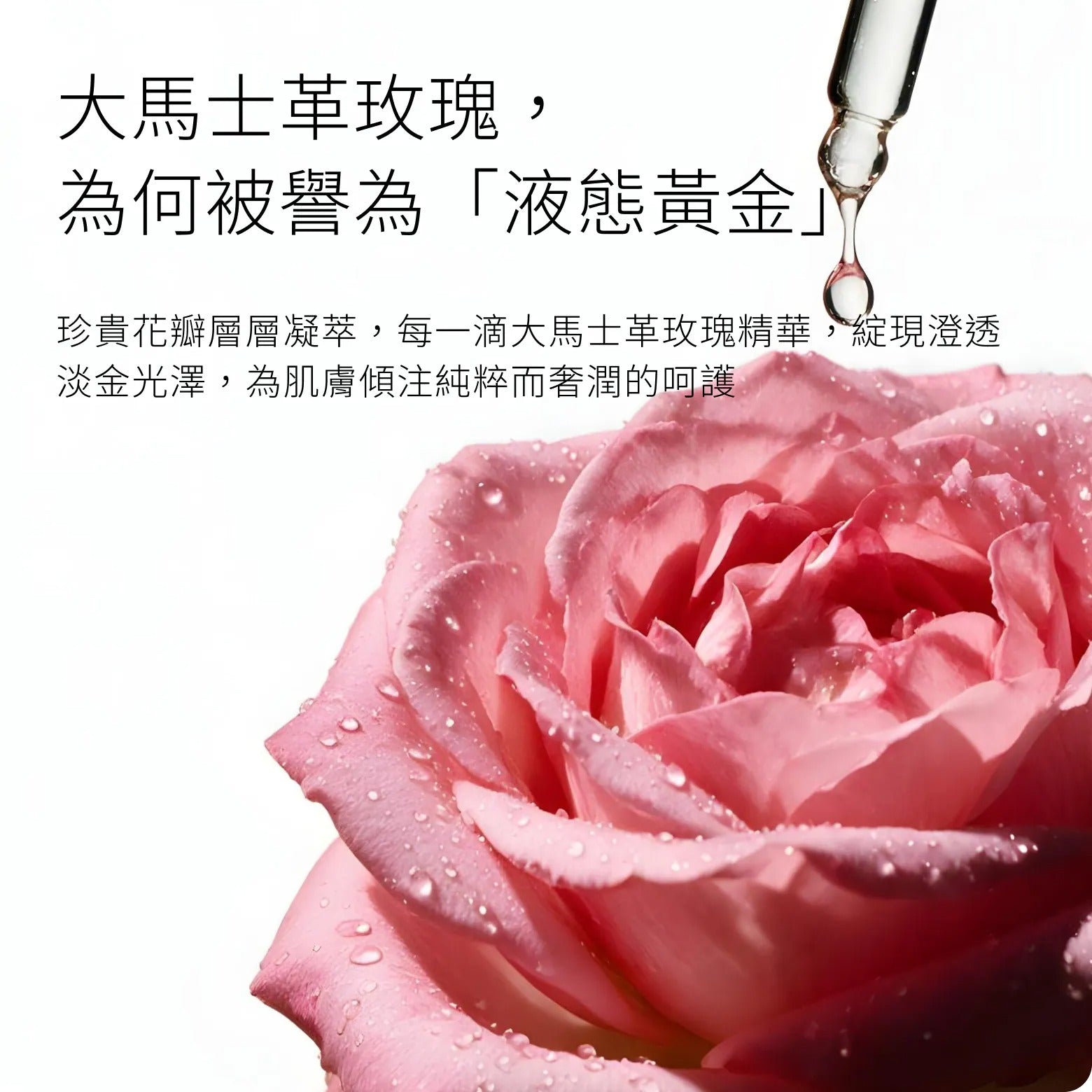 HYPHY 大馬士革玫瑰修護保養油