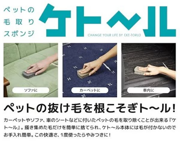 CB JAPAN 神奇寵物除毛海綿磚2入組