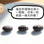【臺灣九號 福豆酥】