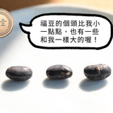 【臺灣九號 福豆酥】