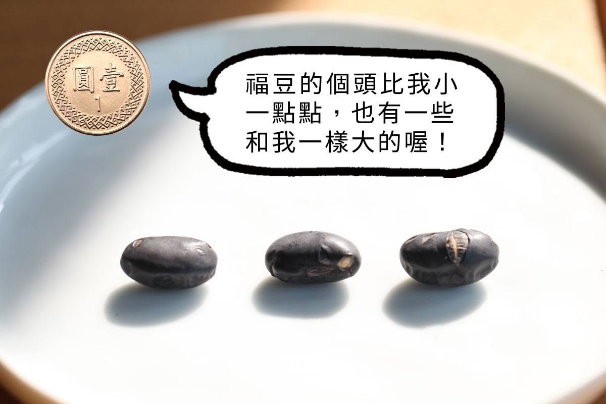 【臺灣九號 福豆酥】