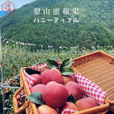 【富二代農產】梨山蘋果果凍｜整顆蘋果榨汁💦50%｜季節限定 40g*8顆
