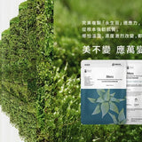 TTM 珍稀原萃-永生苔瞬活修復生物纖維面膜3入盒