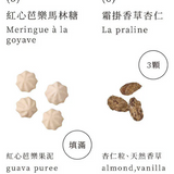 【菓實日】穿山甲造型鐵盒餅乾