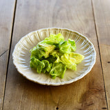 Studio M' charmé 浮雕邊圓盤 各三色