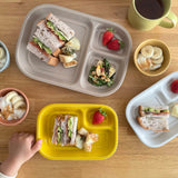 studio m' Fosset 分隔餐盤 (熟食盤/午餐盤) 共四色