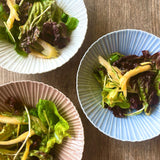 studio m' Ride 漣漪碗 (M/L) 共三色