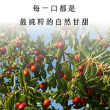 【暖暖手作】切片紅棗乾 100g