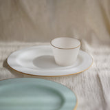 藤本咲 橢圓平盤