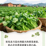 【詹醬】詹麵系列