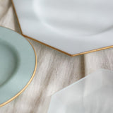 藤本咲 大八角平盤