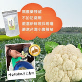 【乾燥蔬菜】黃金花椰菜乾