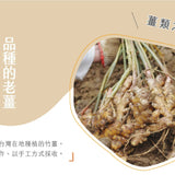 【暖暖手作】乾燥竹薑片 50g/罐