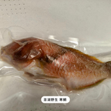 康寶｜美國本土限定郵寄（含運費）