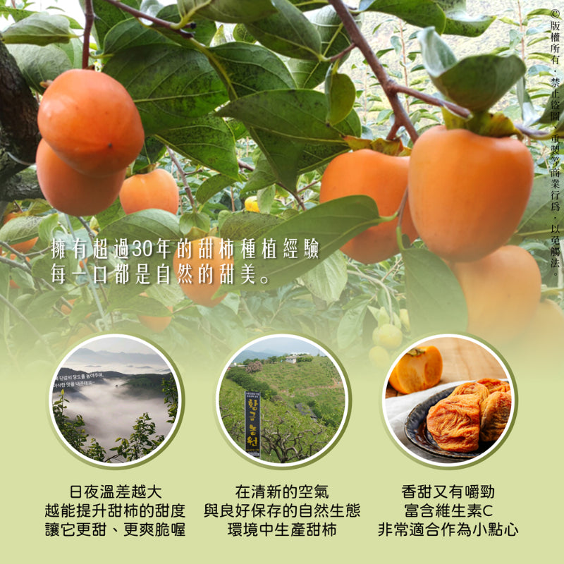 韓國柿子乾100g-台美直郵預購
