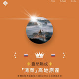 【Mag Mag】還魂梅