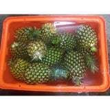 【餓餓不求人】台灣果乾系列