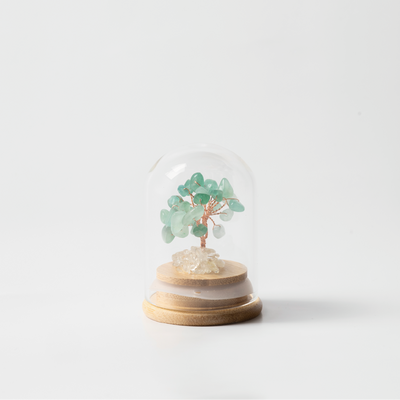 Preserved｜綠東陵｜財富。貴人