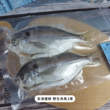 康寶｜美國本土限定郵寄（含運費）