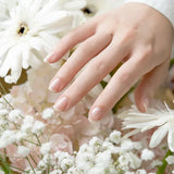 小小PETIT 仲夏星辰 Midsummer Star 0402